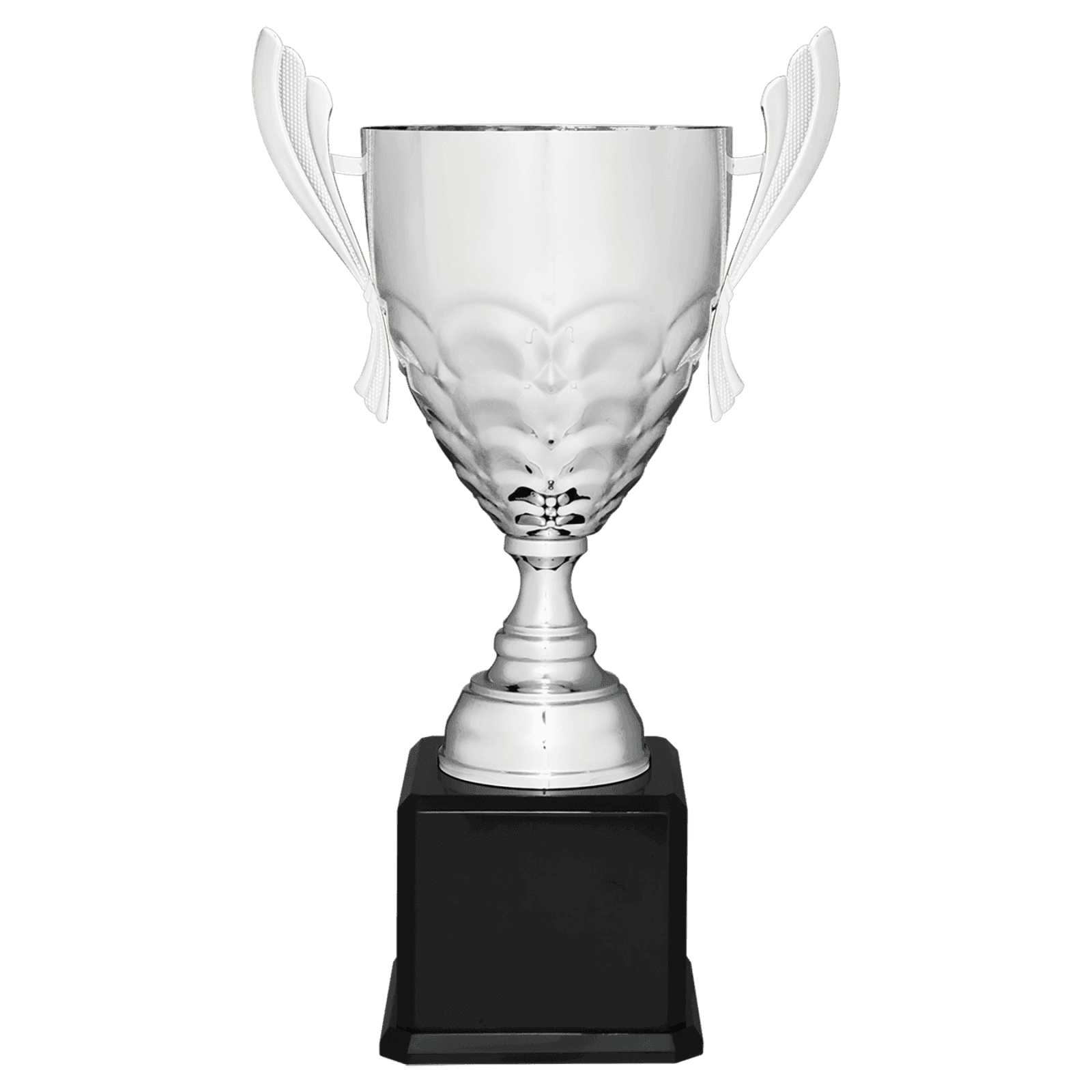 Silver Metal Cup-25 1/4"