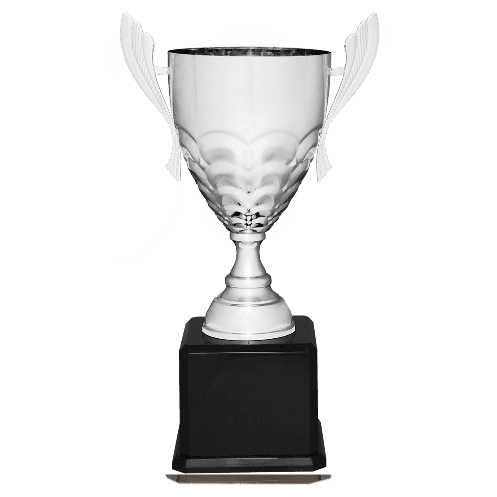Silver Metal Cup-23 1/2"