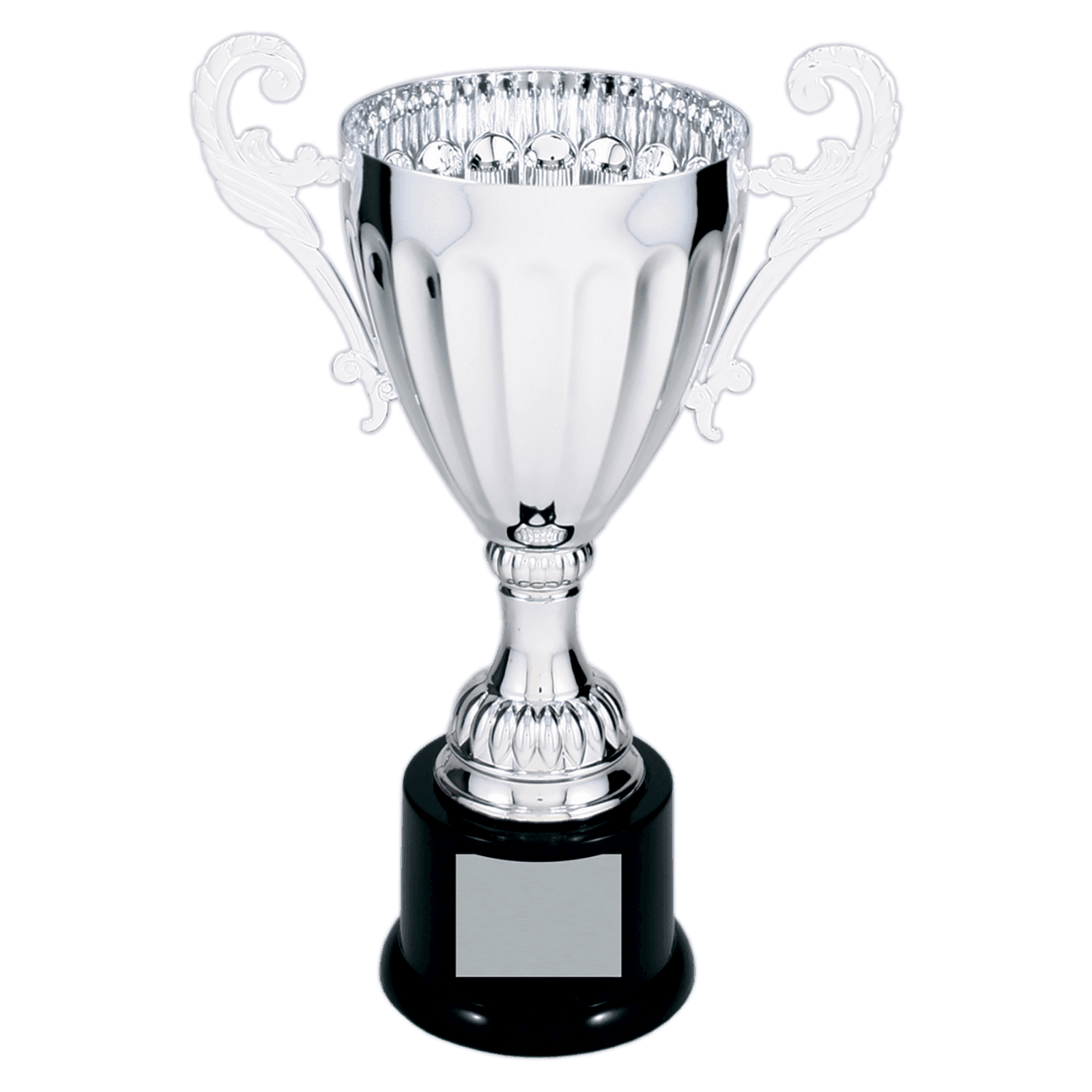 Silver Metal Cup-9 3/4"