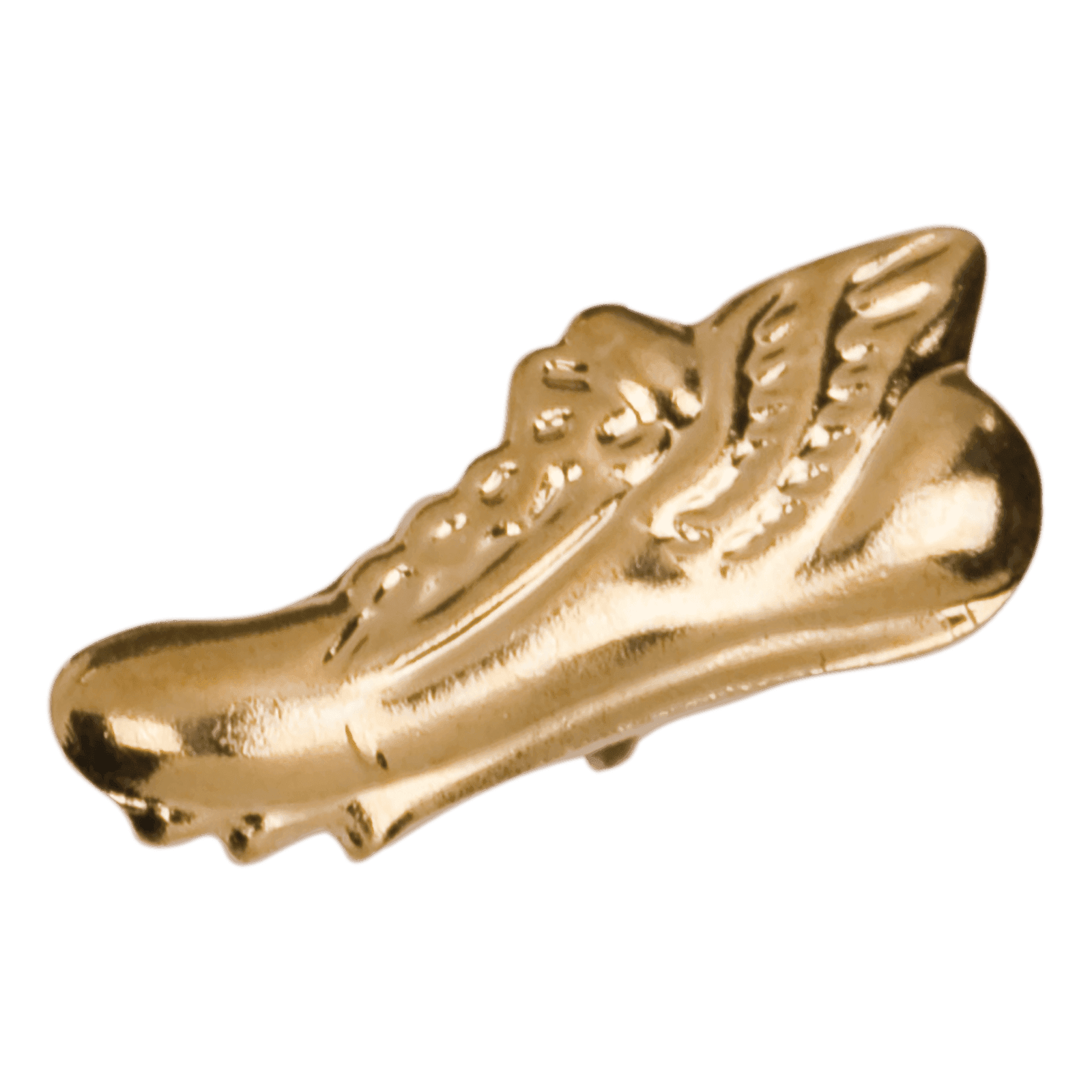 Winged Track Shoe Chenille Pin